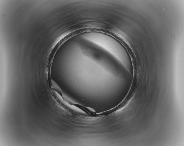 X0000086940829200704301135