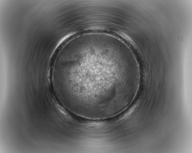 X0000086940830200704301135