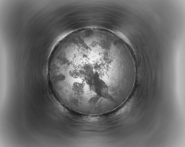 X0000086940831200704301135
