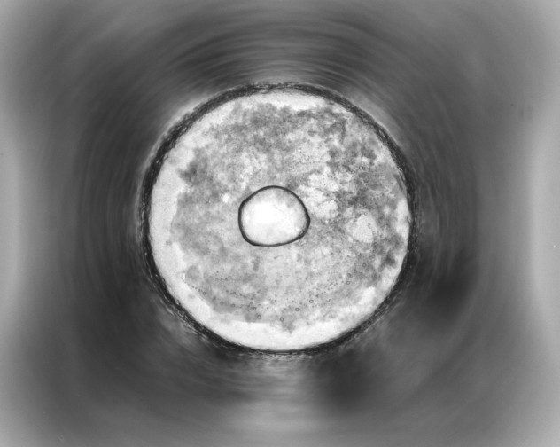 X0000086940832200704301135