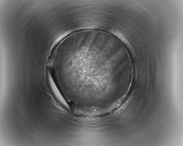 X0000086940834200704301135