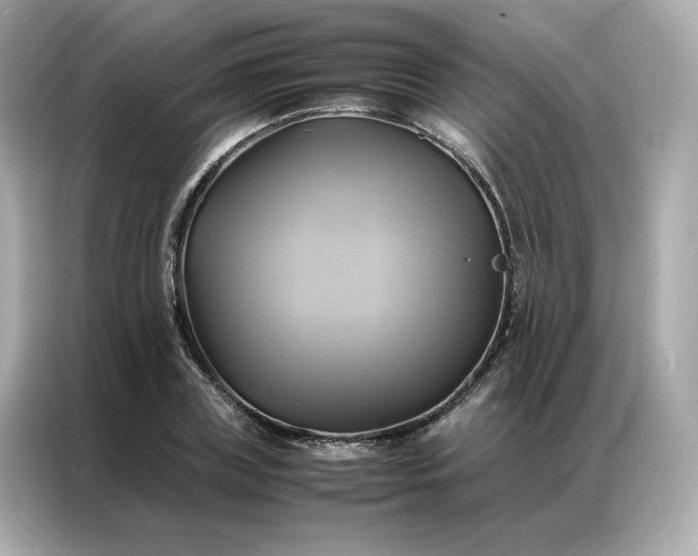X0000086940835200704301135
