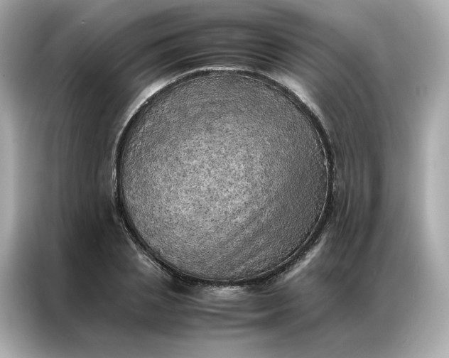 X0000086940837200704301135