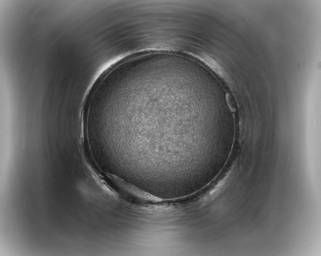 X0000086940838200704301135