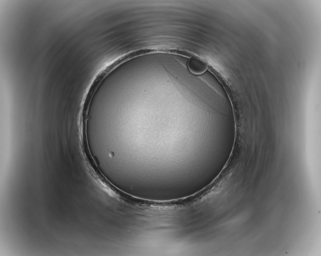 X0000086940840200704301135