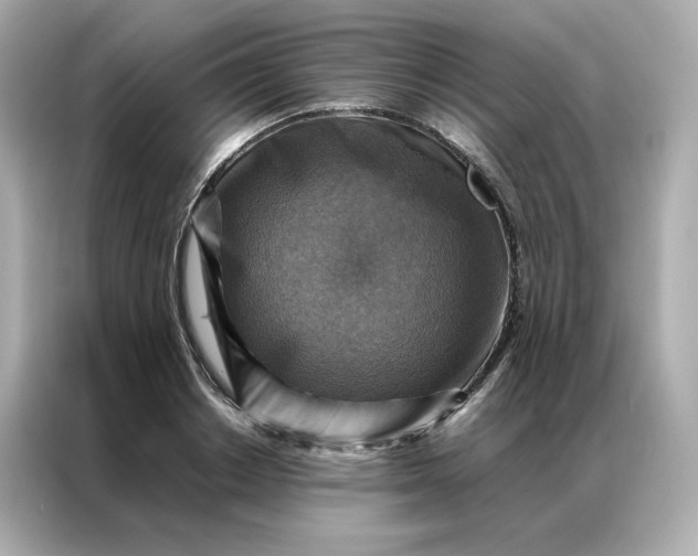 X0000086940842200704301135