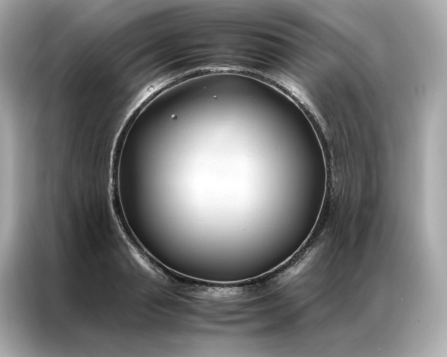 X0000086940845200704301135