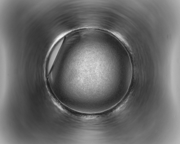 X0000086940846200704301135