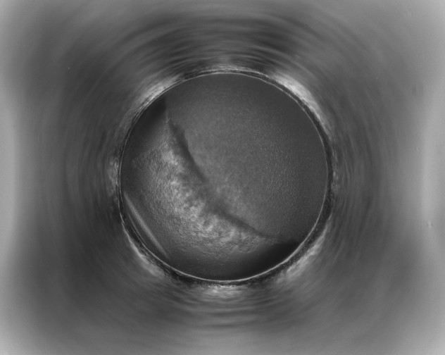 X0000086940849200704301136
