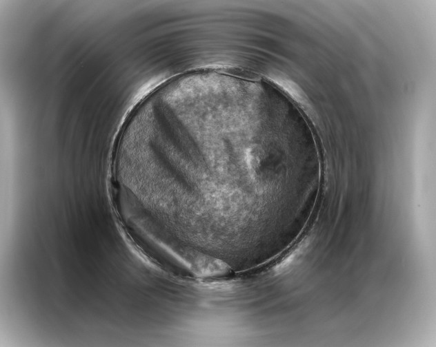 X0000086940850200704301136