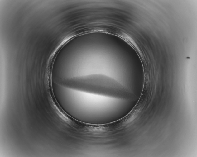 X0000086940851200704301136