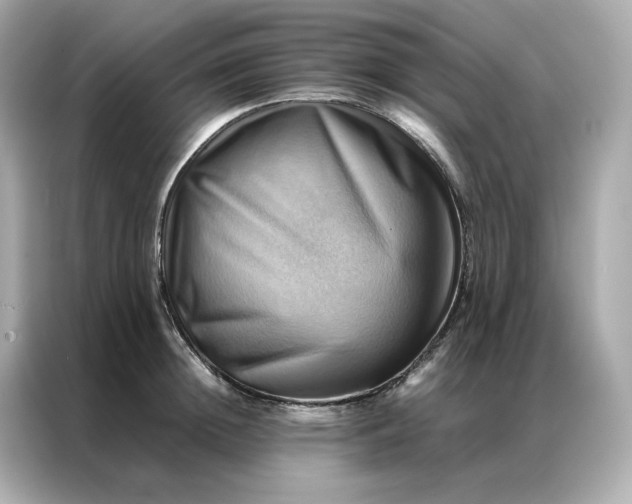 X0000086940852200704301136