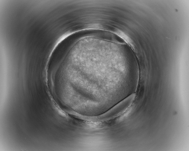 X0000086940854200704301136