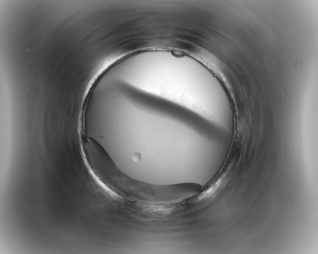 X0000086940855200704301136