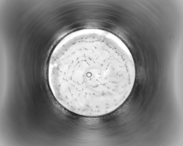 X0000086940856200704301136
