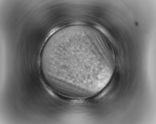 X0000086940858200704301136