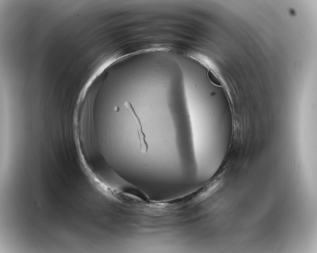 X0000086940859200704301136