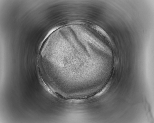 X0000086940860200704301136