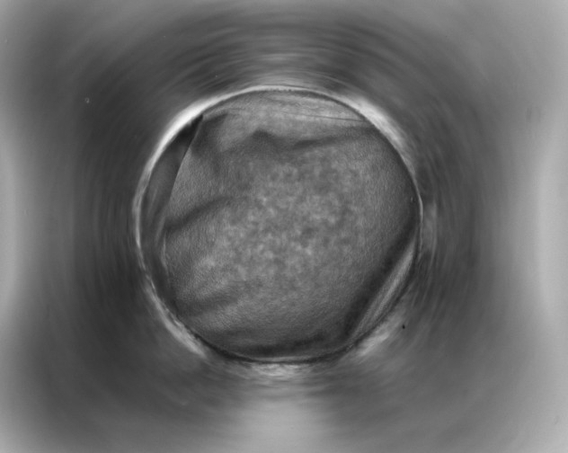 X0000086940862200704301136