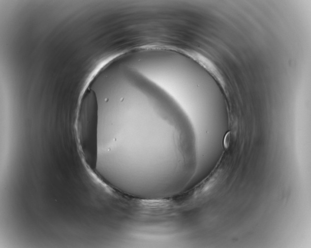 X0000086940863200704301136