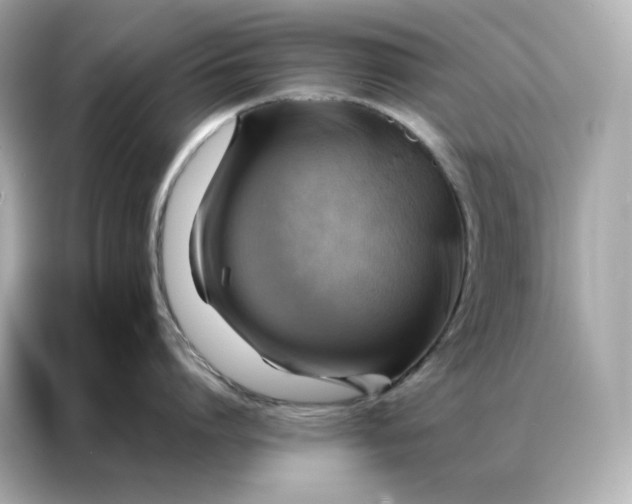 X0000086940864200704301136