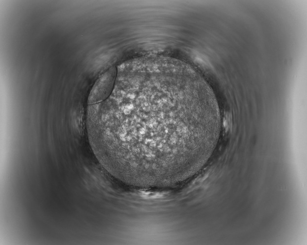 X0000086940867200704301135