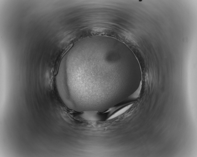 X0000086940868200704301135