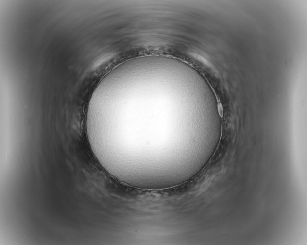 X0000086940869200704301135