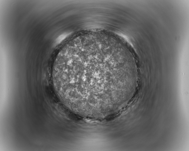 X0000086940871200704301135