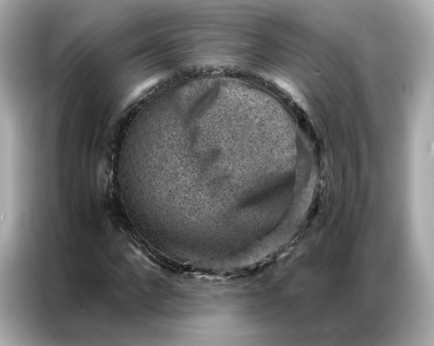 X0000086940872200704301135