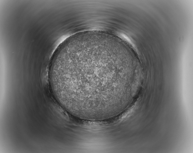 X0000086940875200704301135