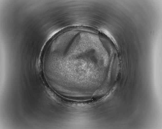 X0000086940876200704301135