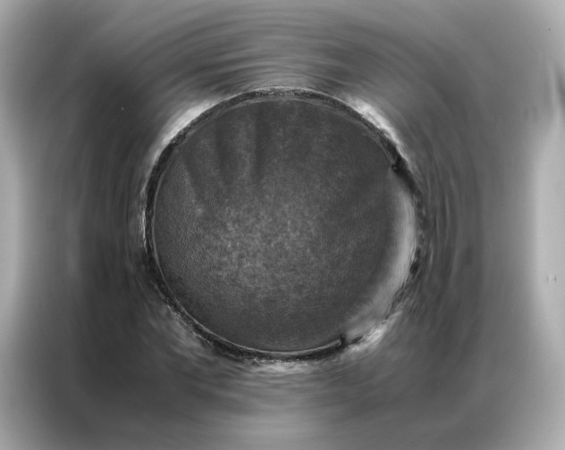 X0000086940877200704301135