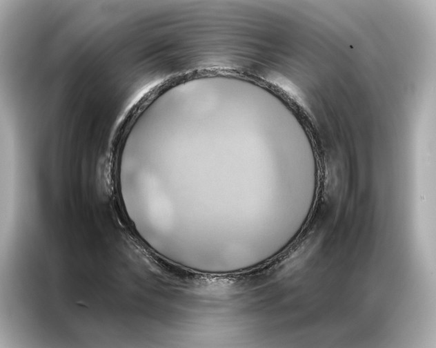 X0000086940878200704301135