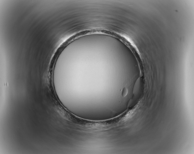 X0000086940879200704301135