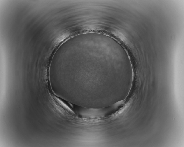 X0000086940881200704301135
