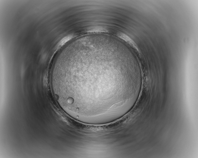 X0000086940882200704301135