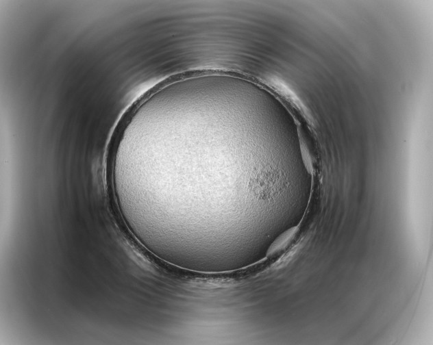 X0000086940884200704301135