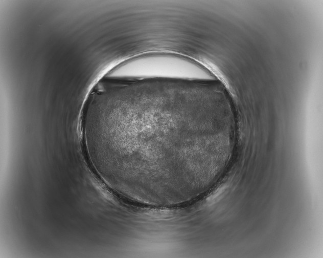 X0000086940885200704301135