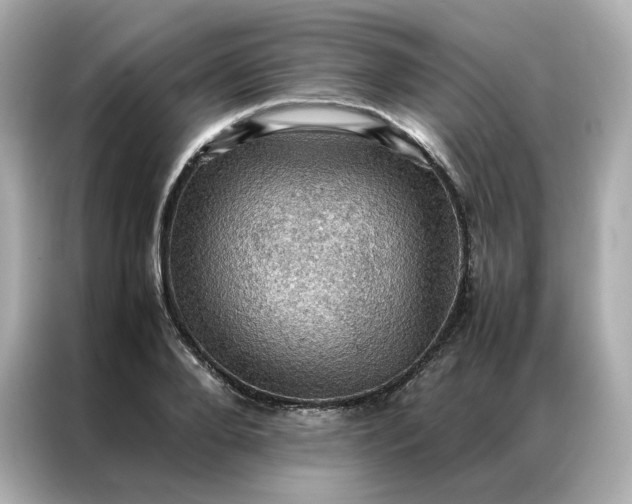 X0000086940888200704301135