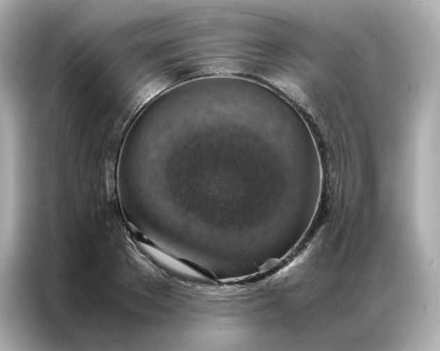 X0000086940889200704301135