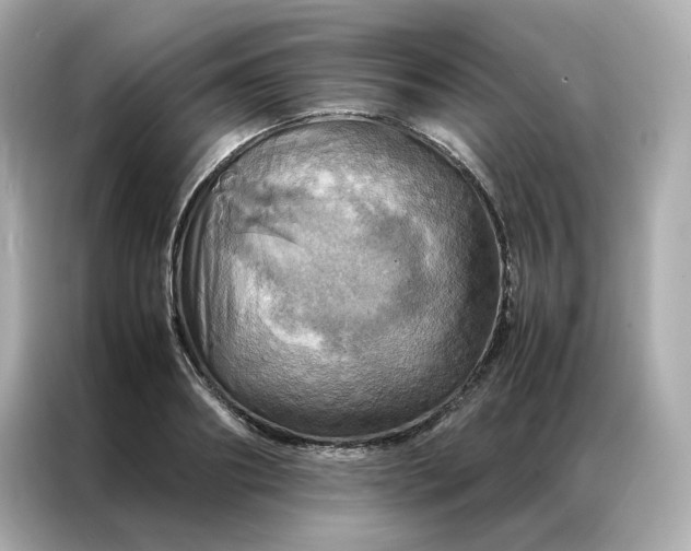 X0000086940890200704301135