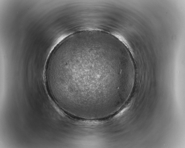 X0000086940893200704301135