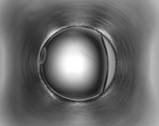 X0000086940894200704301135