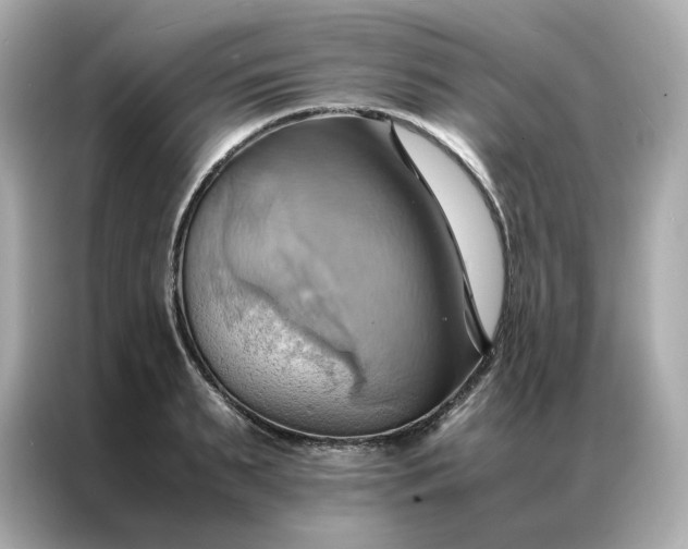 X0000086940895200704301135