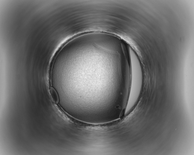 X0000086940896200704301135