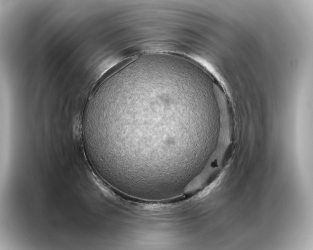 X0000086940897200704301135