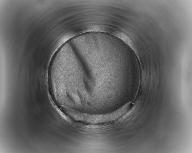 X0000086940898200704301135