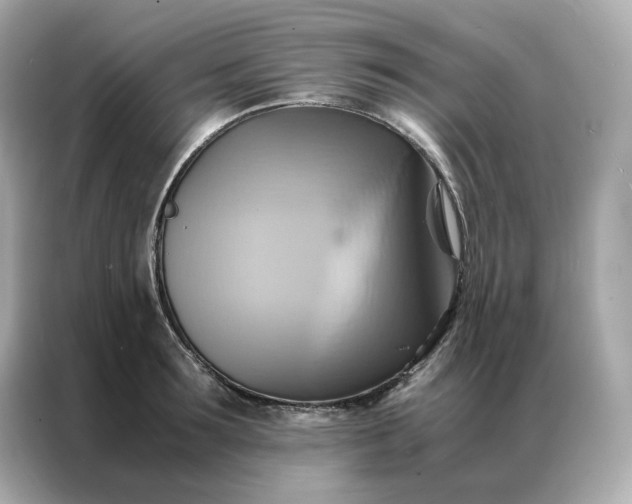 X0000086940899200704301135