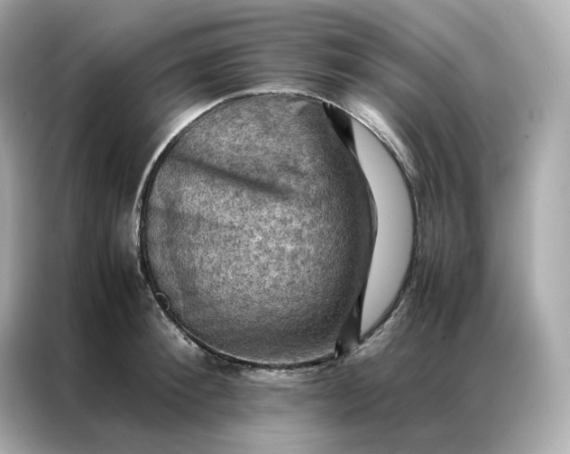 X0000086940900200704301135